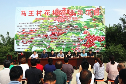 Mawang Village, Lantian County는 Pepper Picking Festival의 개막식을 열었습니다
