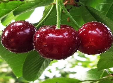 빈곤 완화 %온라인 카지노 사이트%카지노 게임 사이트%온라인 카지노 사이트%온라인 카지노 합법 사이트%카지노 사이트 추천%온라인 카 지노 추천%카지노사이트추천의 역학 (122 호)