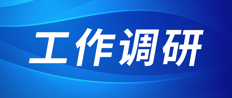 Zhang Liwei는 조사를 위해 Jinghe Industrial Park 온라인 카지노 사이트에 갔다