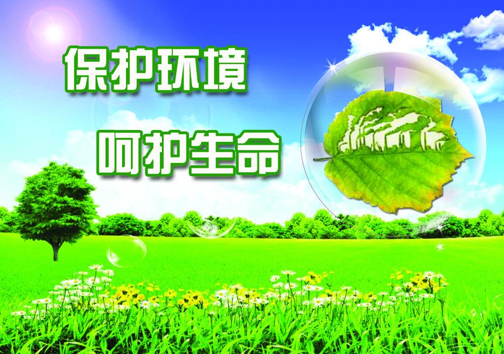 Qinling 생태 보호의 역사적 중요성과 책임
