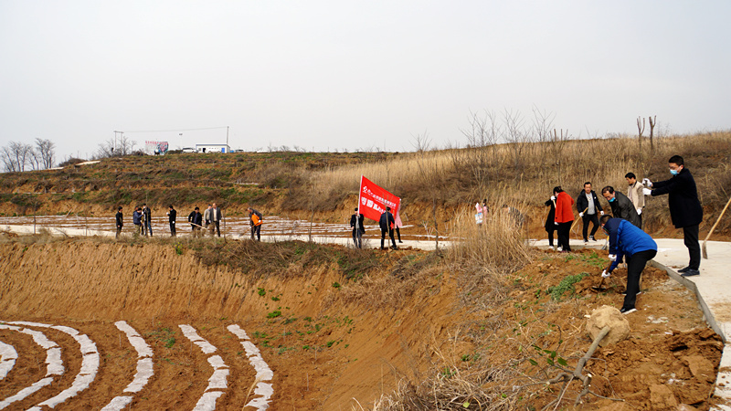 panorama_copy.jpg